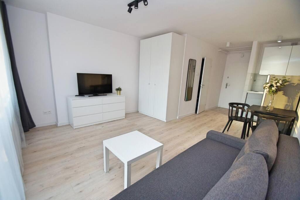 Katowice, Sokolska 33, City Center Apartment Bagian luar foto